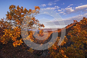 View from Grafovska  mountain at Stiavnicke vrchy