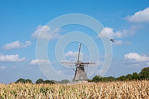 View on grain wind mill in Veldhoven and farmer field with ripe yellow corn ready to harvest