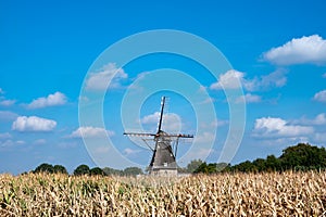 View on grain wind mill in Veldhoven and farmer field with ripe yellow corn ready to harvest