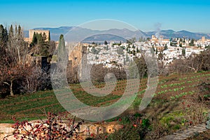 View of Granada from the Generalife gardens