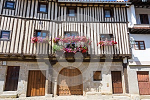 View of a grand building with blooming pink flowers near two windows and doors