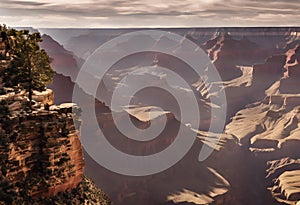 A view of the Grand Canyon in America