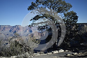 View of the Grand Canyon as Seen from a Scenic View Point on the HermitÃ¢â¬â¢s Rest Bus Line on a Bright, Clear Autumn Afternoo photo
