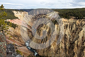 View of the Grand Canyon of Yellowstone