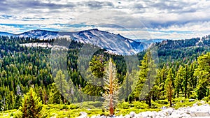 View of the Granite Mountains of Yosemite National Park viewed from Olmsted Point