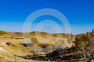 View of the grassland in deep autumn