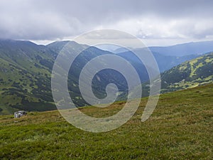Pohled z travnatých svahů kopce turistické stezky z Chopku na horskou luční krajinu hřebene Nízkých Tater