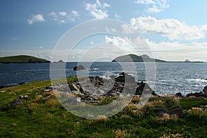 View of Great Blasket Island from Dingle Peninsula from pasture.