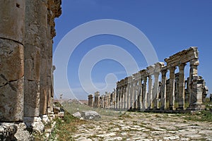 View in the Great Colonnade of Apamea ancient city in Syria