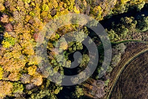 View from a great height on the bend of the river surrounded by autumn forest