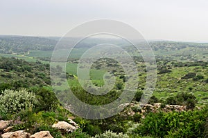 View on green biblical landscape Beit Guvrin Maresha during winter time, Israel