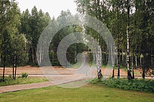 View of green empty park with birches during springtime