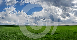 view of green field with picturescue sky with clouds at springtime, planted wheat field