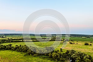 View of green forest-steppe plain. Flatland valley in evening time.