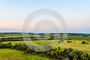 View of green forest-steppe plain. Flatland valley in evening time. photo