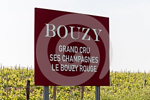 View on green grand cru champagne vineyards near village Bouzy, Montagne de Reims subregion, Champange, France, english photo