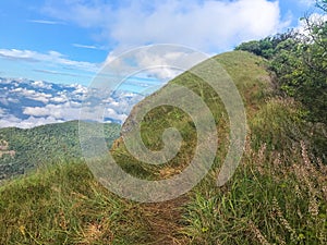 View and green grass on top of the mon jong mountain at Chaing mai, Thailand