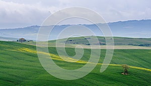 view of the green hills of Tuscany,