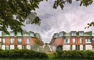 View of green lawn with hedgerow and overhanging tree branches b