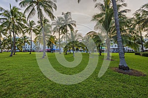 View of green lawn and palm trees park along Ocean Drive in Miami Beach backdrop in front of hotels and restaurants.