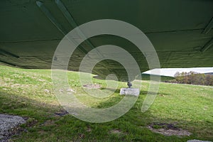 View of the green meadow and forest from below the green Lisunov Li-2 military aircraft