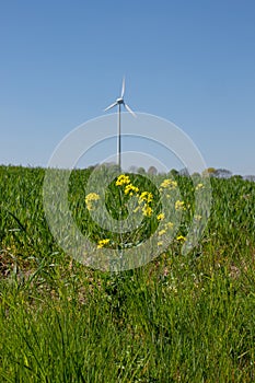 View of green meadows and fields with a wind turbine to generate electricity near Freital Dresden,Germany