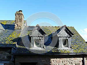 View of green moss growing on an old roof on a clear sky background