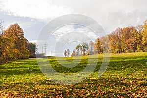 View on green mountain meadow with forest and perfect blue sky on the background. Wonderful nature landscape. Amazing natural