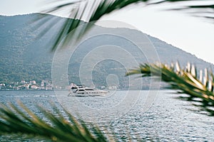 View through green palm branches to a motor yacht sailing on the sea