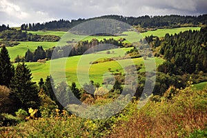 View of the green valley in Low Tatras national park