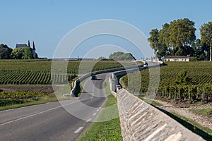 View on green vineyards, wine domain or chateau in Haut-Medoc red wine making region, Bordeaux, left bank of Gironde Estuary,