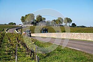 View on green vineyards, wine domain or chateau in Haut-Medoc red wine making region, Bordeaux, left bank of Gironde Estuary,