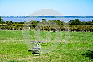 View on green vineyards, wine domain or chateau in Haut-Medoc red wine making region, Bordeaux, left bank of Gironde Estuary,