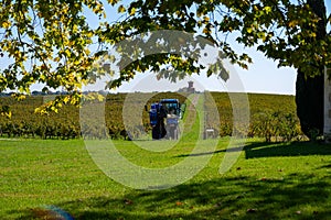 View on green vineyards, wine domain or chateau in Haut-Medoc red wine making region, Bordeaux, left bank of Gironde Estuary,