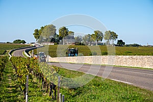 View on green vineyards, wine domain or chateau in Haut-Medoc red wine making region, Bordeaux, left bank of Gironde Estuary,