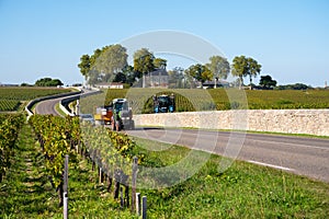 View on green vineyards, wine domain or chateau in Haut-Medoc red wine making region, Bordeaux, left bank of Gironde Estuary,