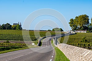 View on green vineyards, wine domain or chateau in Haut-Medoc red wine making region, Bordeaux, left bank of Gironde Estuary,