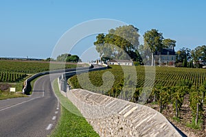 View on green vineyards, wine domain or chateau in Haut-Medoc red wine making region, Bordeaux, left bank of Gironde Estuary,