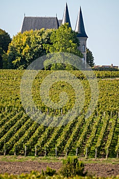 View on green vineyards, wine domain or chateau in Haut-Medoc red wine making region, Bordeaux, left bank of Gironde Estuary,