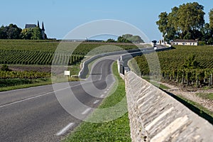 View on green vineyards, wine domain or chateau in Haut-Medoc red wine making region, Bordeaux, left bank of Gironde Estuary,