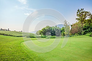 View of the green at Zlati Gric Golf Course with trees and vineyard on a sunny day in Slovenia