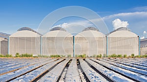 View for greenhouse with blue sky