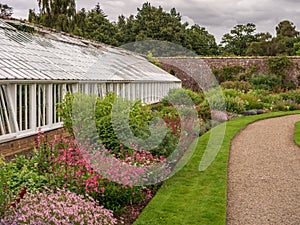 Greenhouse in a garden