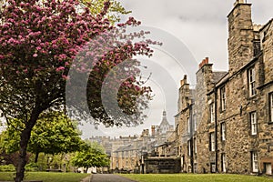 A view from Greyfriars Kirkyard