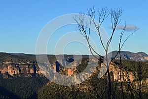 A view of The Grose Valley in the Blue Mountains