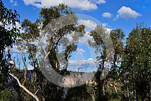 A view of the Grose Valley in the Blue Mountains National Park of Australia.