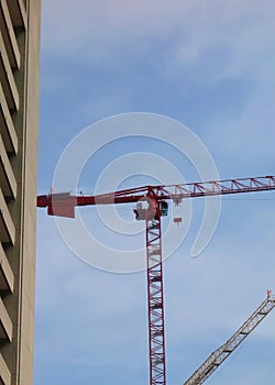 View from ground of two construction erection cranes 01