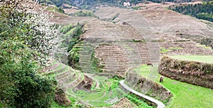 view of grounds near Dazhai village in country