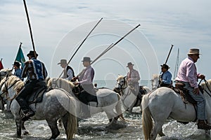 A group of gardians and camargue horses in the sea