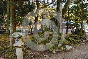 View of Group of Japanese stone lanterns near Tamukeyama Hachimangu Shrine in Nara Park, Japan